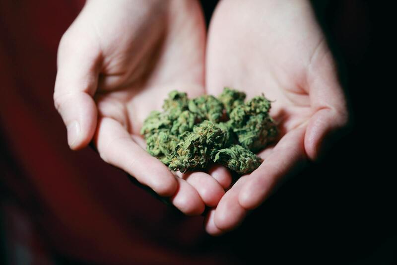 Israel cannabis research